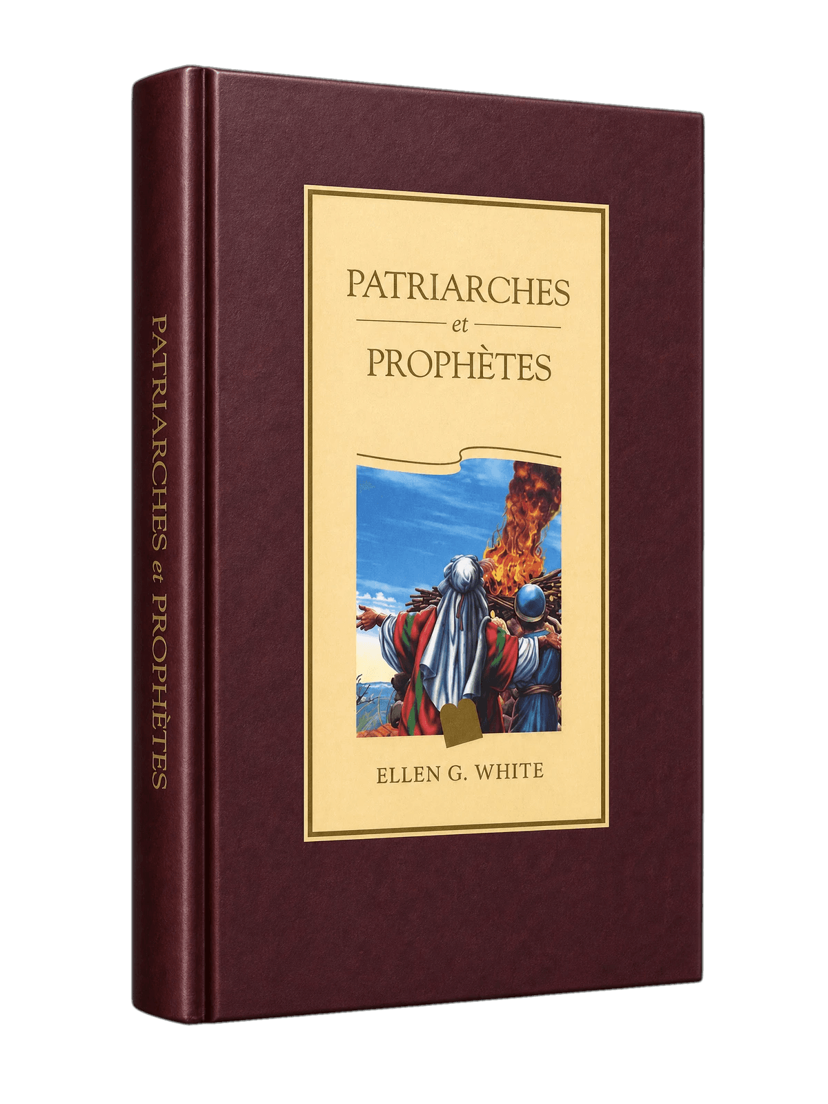 Couverture du livre Patriarches et Prophètes