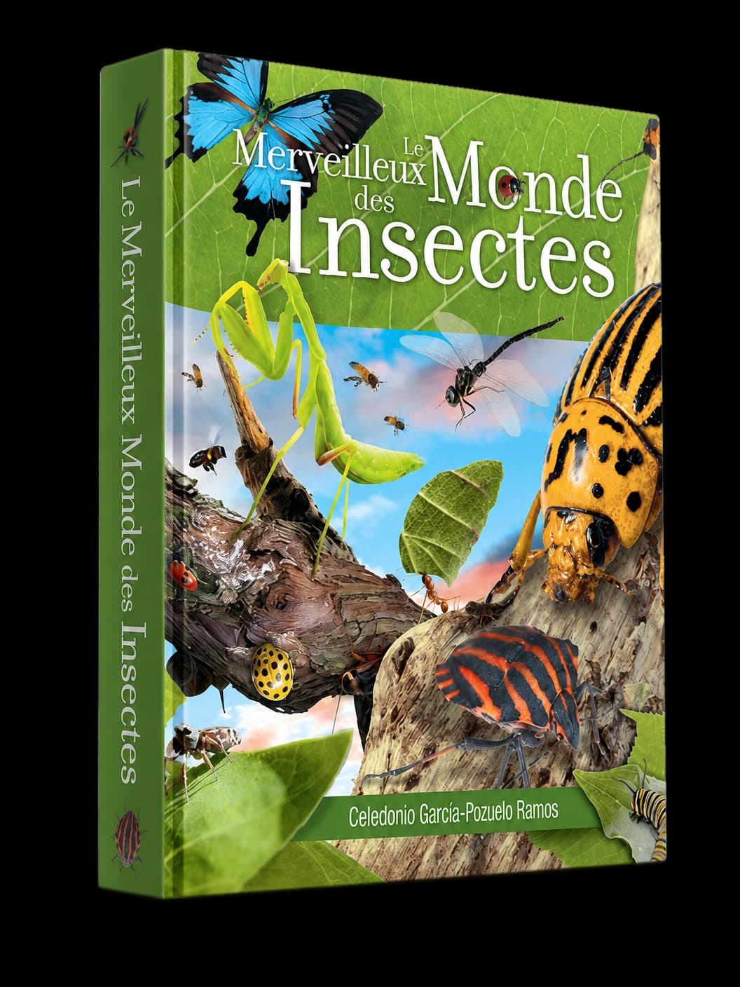 Couverture du livre Merveilleux monde des insectes