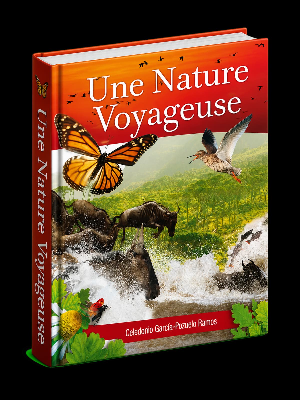Couverture du livre Prodigieuse nature