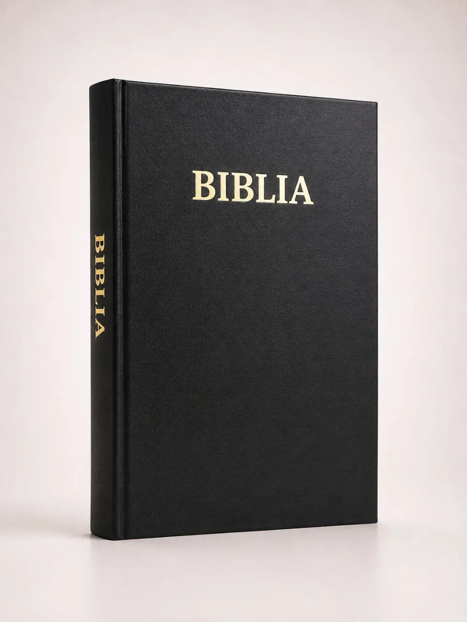 Biblia — Nouvelle version (Grand Format)