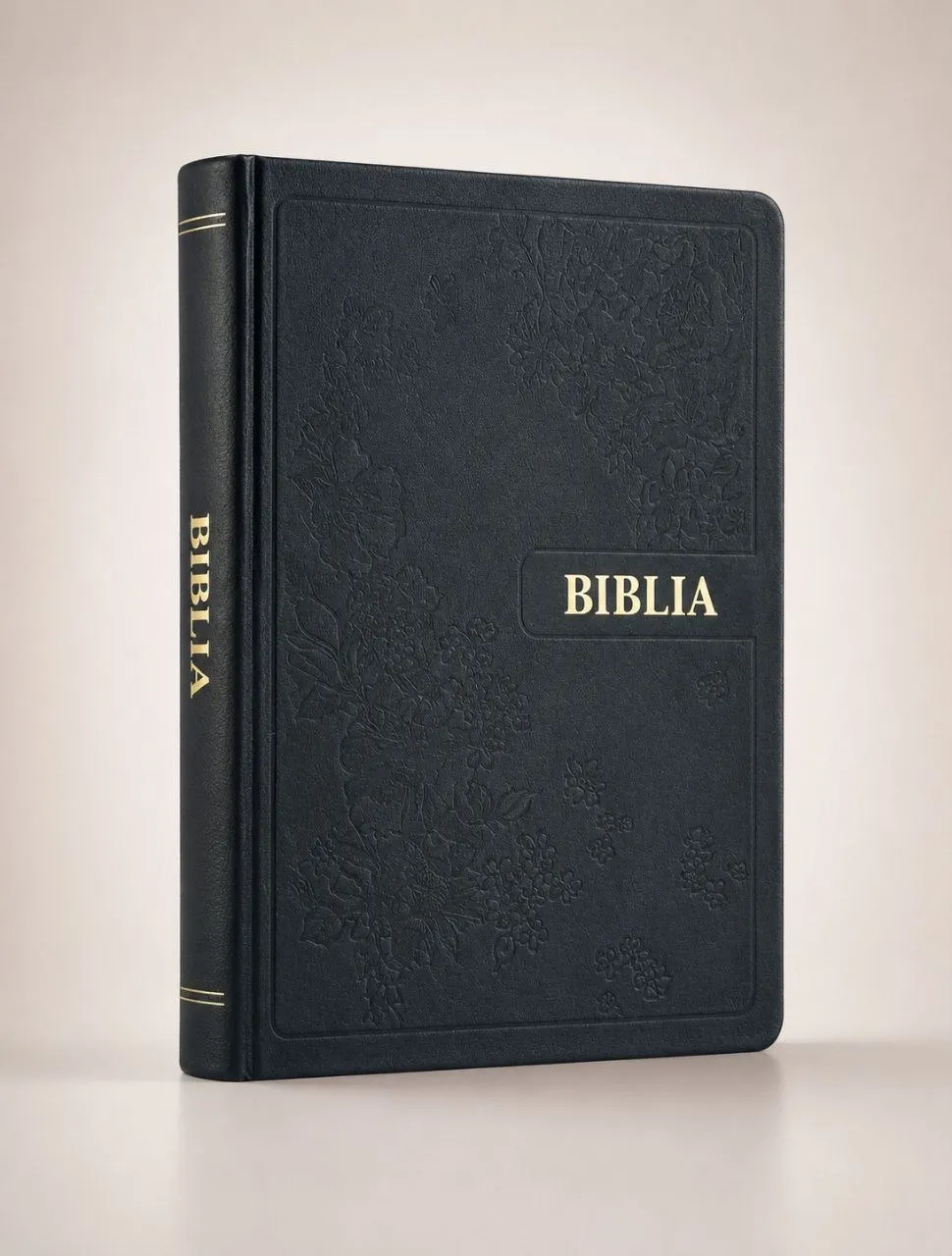 Biblia — Nouvelle version (Noire avec onglets)