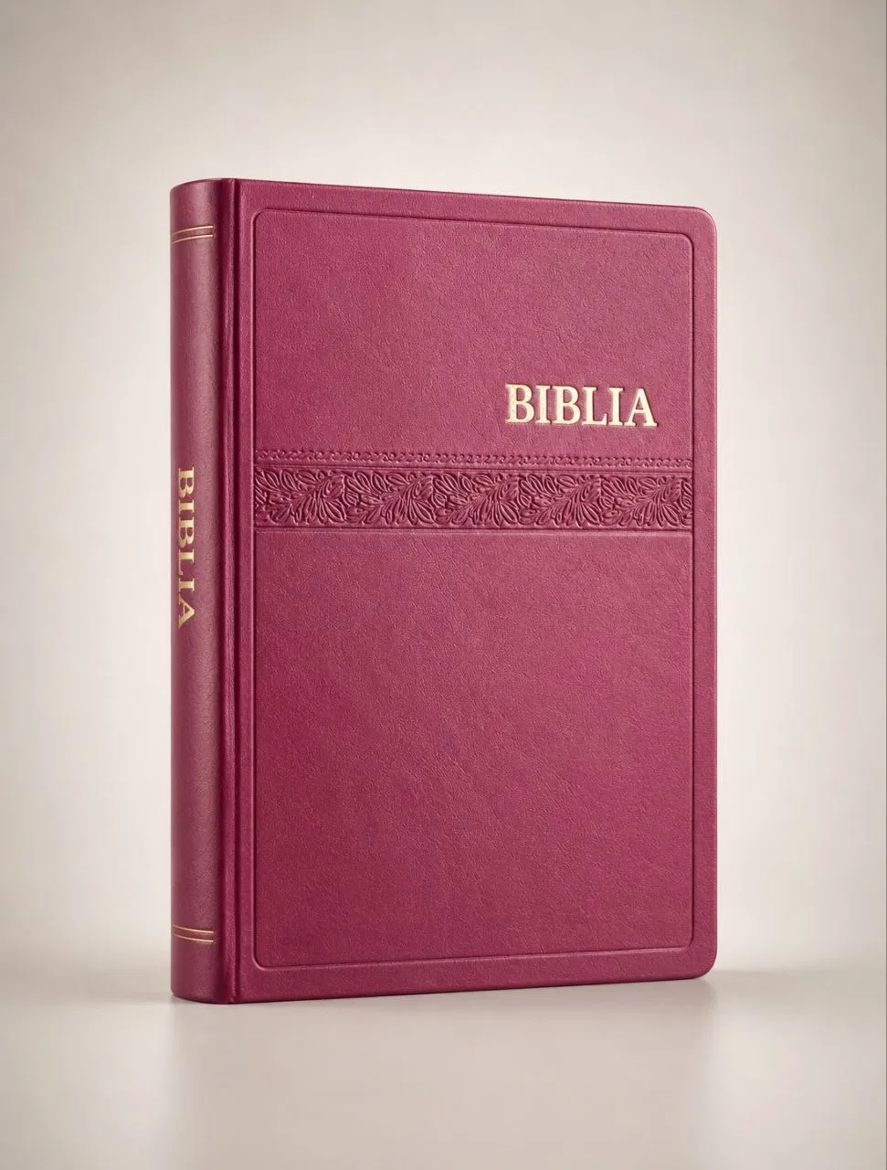 Biblia — Nouvelle version (Rouge)