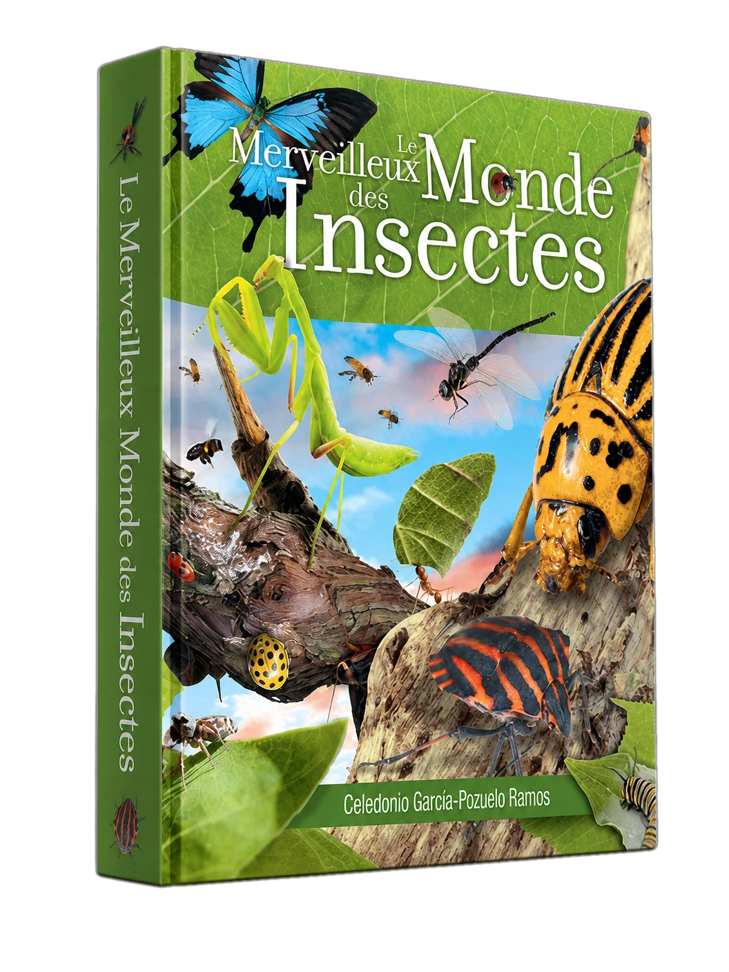 Couverture du livre Merveilleux monde des insectes