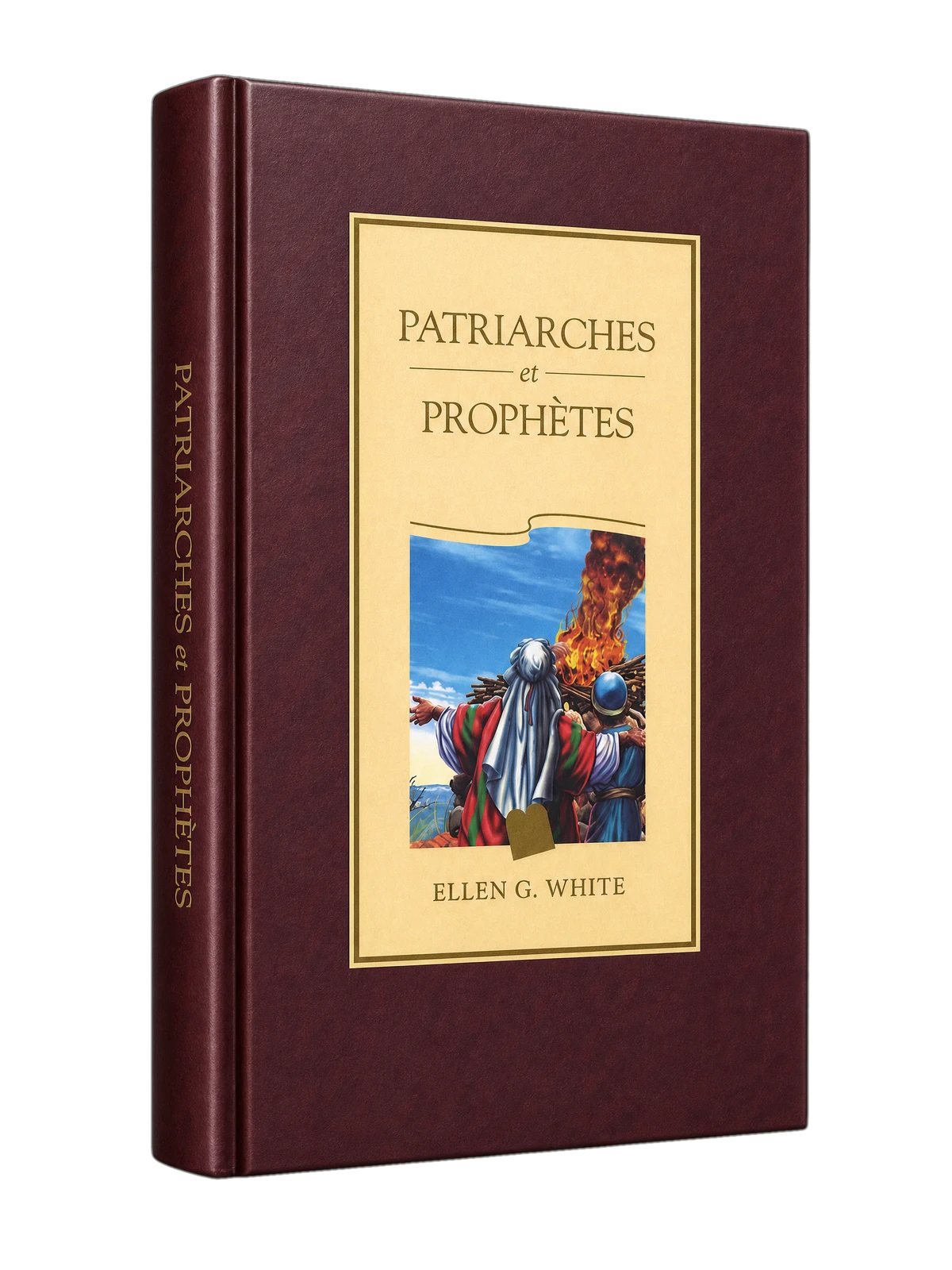 Couverture du livre Patriarches et Prophètes