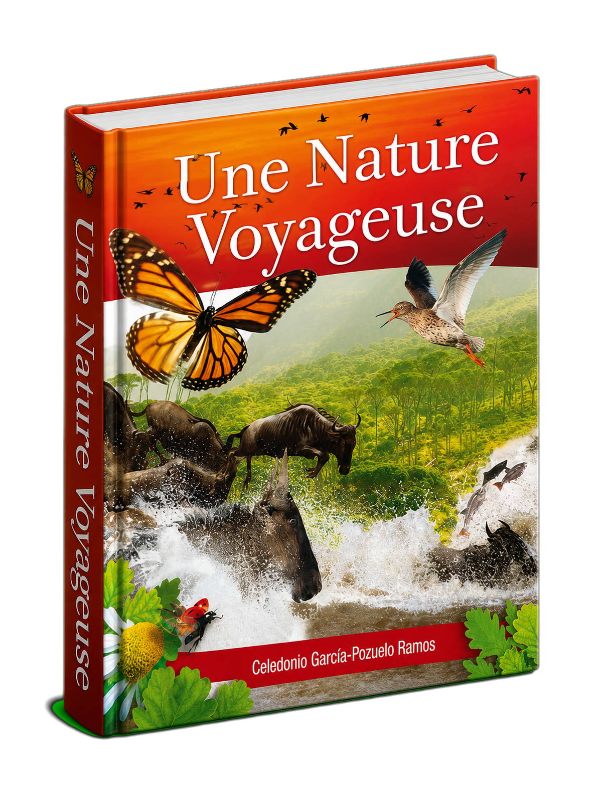 Couverture du livre Prodigieuse nature