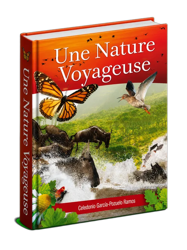Couverture du livre Une nature voyageuse