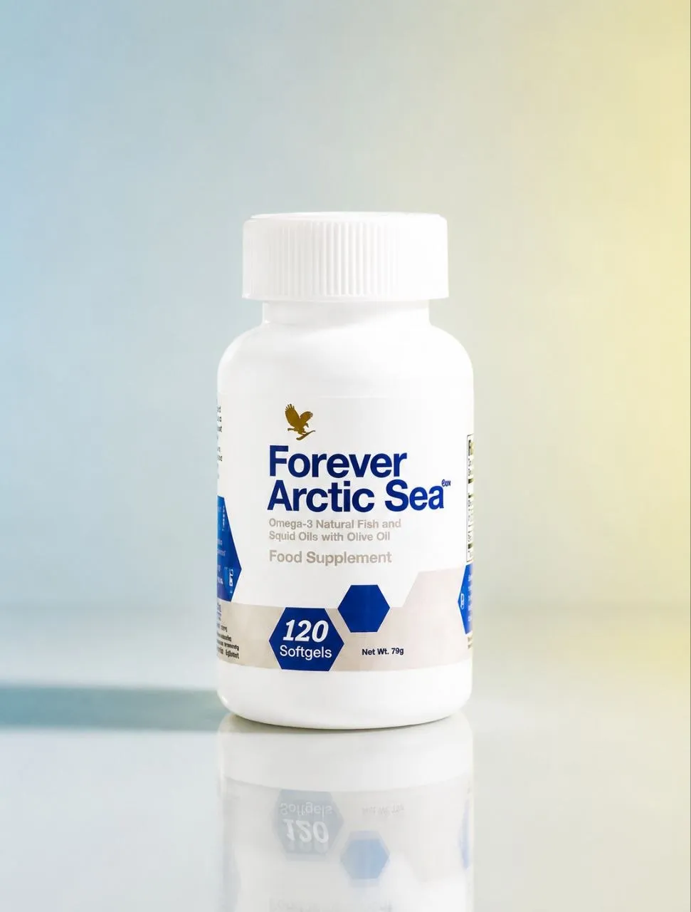 Forever Arctic Sea
